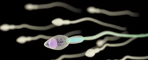 Estudios revelan que la COVID puede reducir la fertilidad masculina