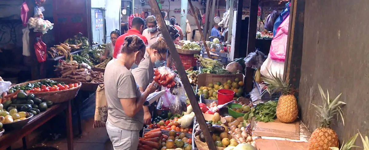 Comerciantes ofertan exquisitas frutas de temporada en el mercado Candelaria