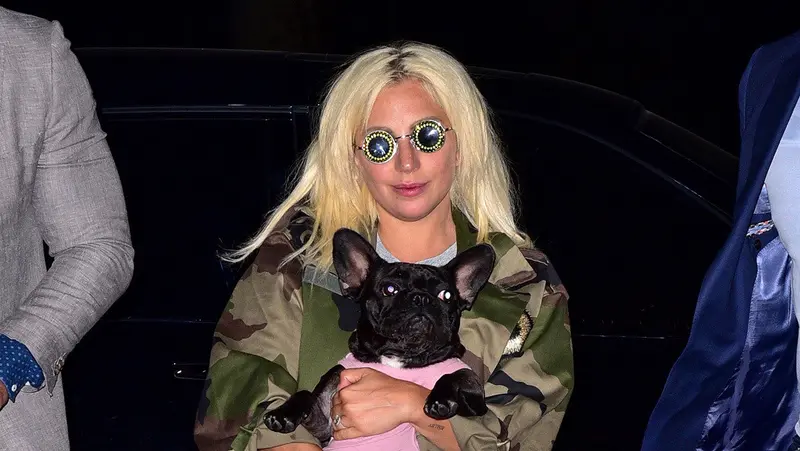 Lady Gaga ofrece jugosa recompensa tras robo de sus mascotas Koji y Gustav