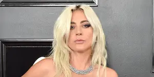 ¡Lo último! Lady Gaga recupera a sus mascotas Koji y Gustav