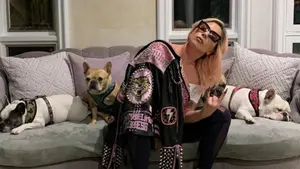 Lady Gaga ofrece jugosa recompensa tras robo de sus mascotas Koji y Gustav