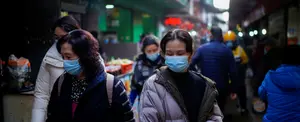 OMS: El Coronavirus surge debido al comercio de animales salvajes