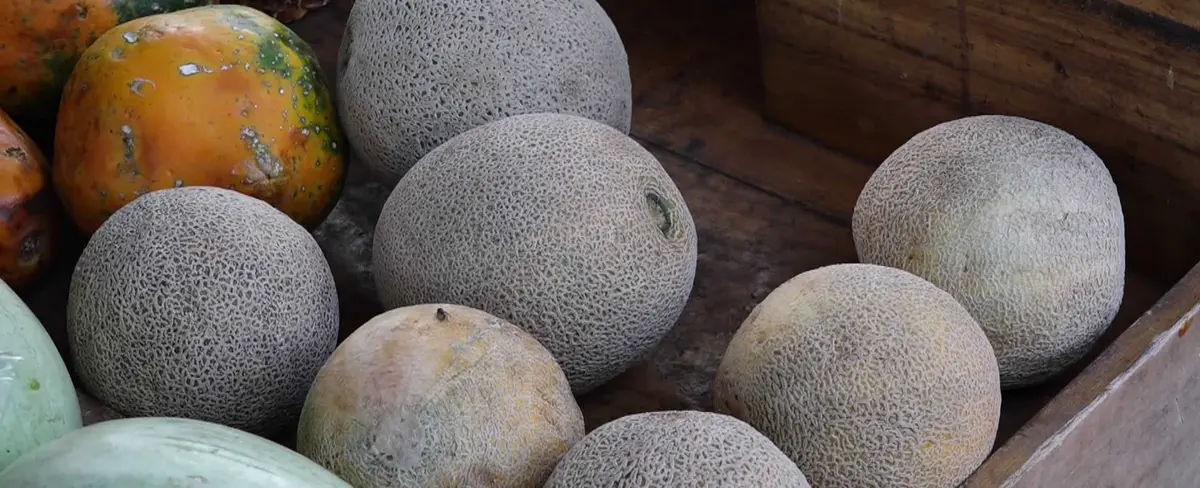 Productores ofertan frutas de temporada en la Feria del Verano