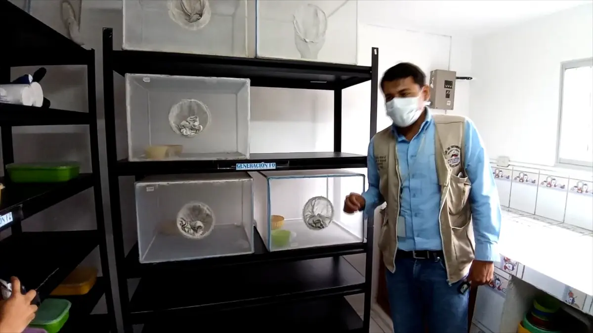 Laboratorio de Entomología intensificará lucha anti epidémica en Boaco