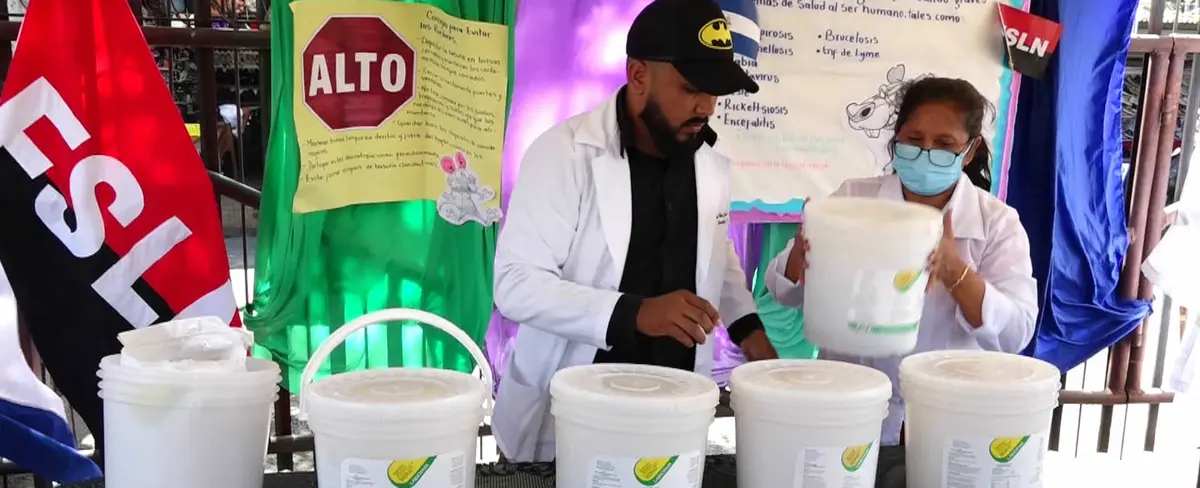 Minsa inicia a desratizar barrios, mercados y hospitales de Managua