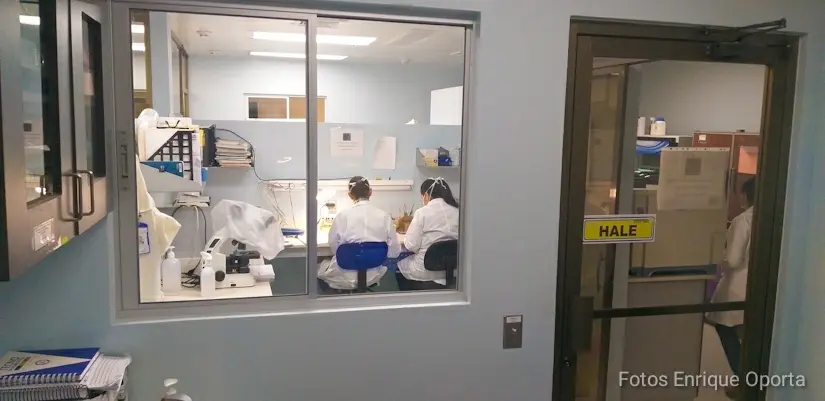 Minsa invierte C$29 millones en renovación del laboratorio de virología en Managua