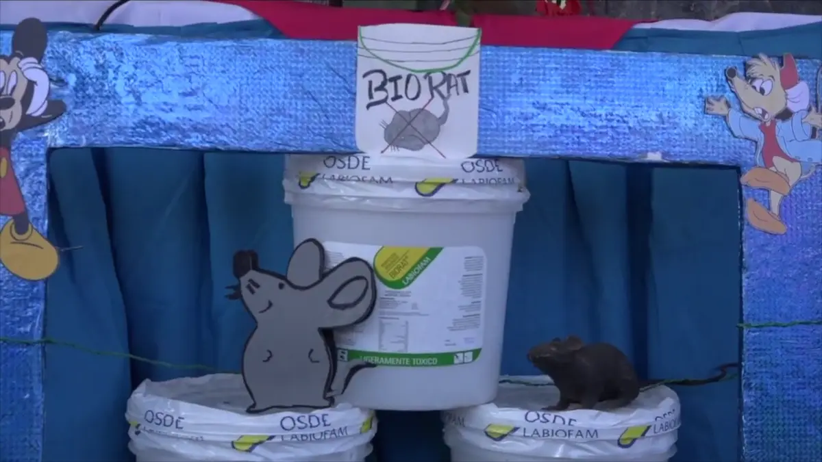 500 kilos de Biorat serán distribuidos en viviendas y mercados de Masaya