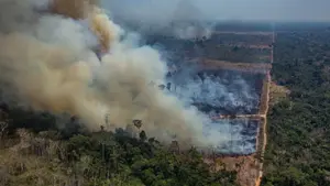 Selva amazónica podría convertirse en “sumidero” de CO2, revelan estudios