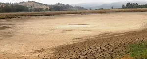 California enfrenta una sequía desastrosa con cortes de agua e incendios