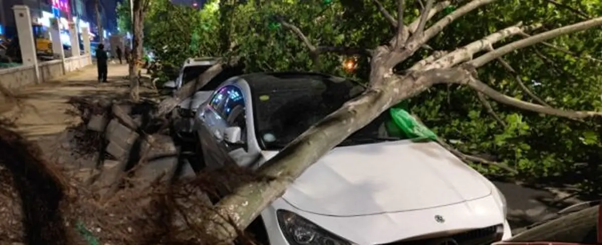 Tormenta deja 11 muertos, 100 heridos y 132 casas colapsadas en China