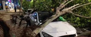 Tormenta deja 11 muertos, 100 heridos y 132 casas colapsadas en China