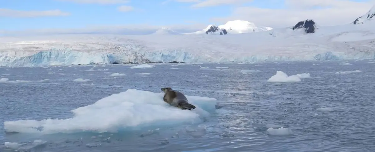 Masa de agua que rodea Antártida se convierte en el 5 océano de la Tierra