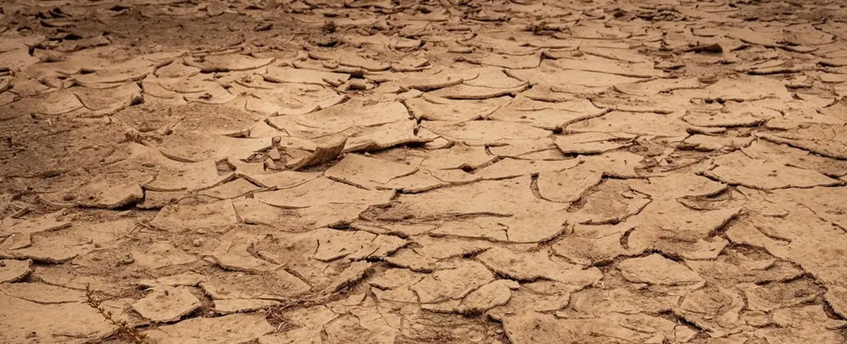 ONU advierte que la sequía podría convertirse en una pandemia