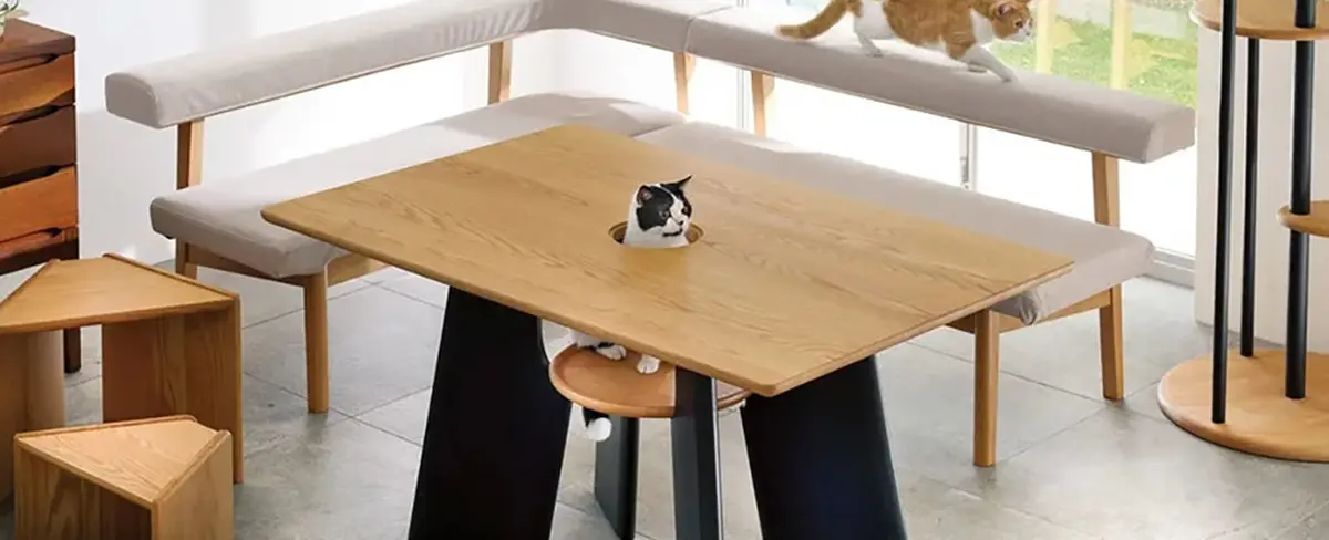 Crean una mesa de comedor con un orificio en el centro para los gatos de la casa