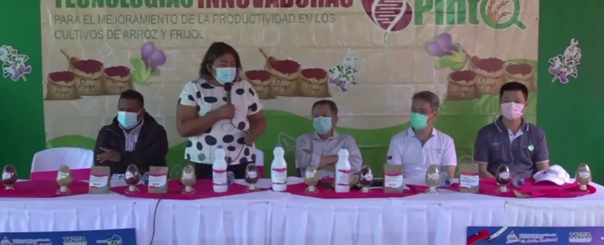 INTA expone resultados de proyecto para mejoramiento del frijol en Masatepe