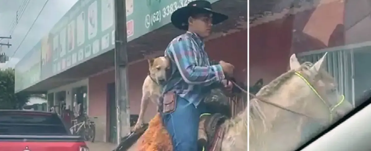 Un perro sorprende a los habitantes al pasear por calles montando a caballo