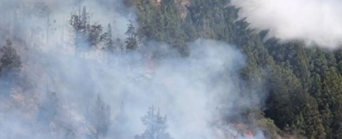 Lluvias disminuyen intensidad de incendios forestales en Argentina