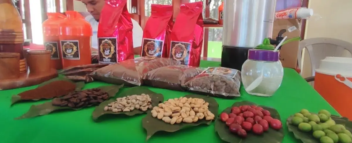 Realizan Expo Café 2022 “Nicaragua es Café” en Ocotal