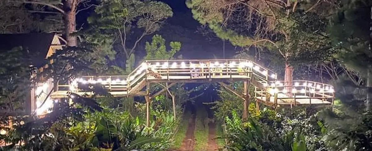 Finca Agroforestal “Entre Pinos”, un bello paraíso