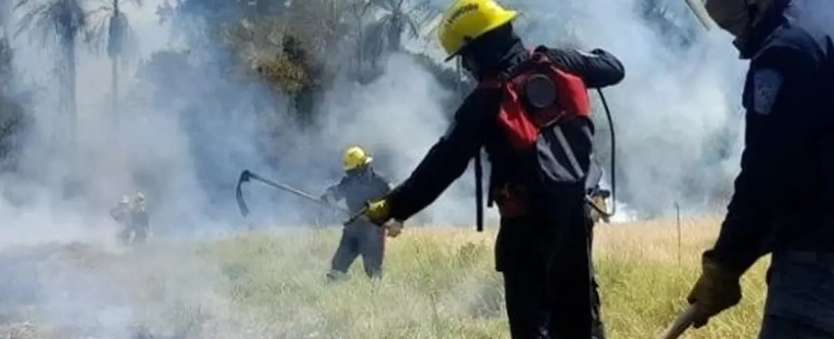 Otra ola de incendios forestales afecta a Paraguay