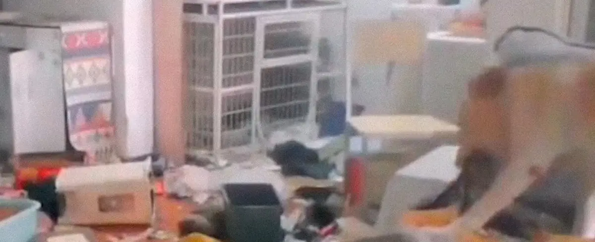 Un perro destroza la casa de su dueña mientras cumple cuarentena en otro lugar
