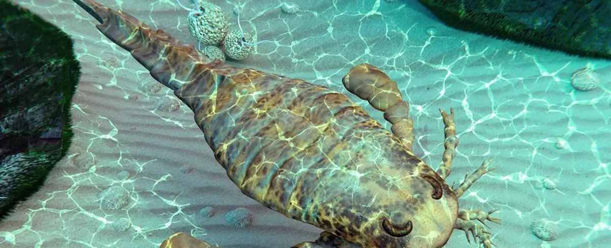 Identifican en Australia especie extinta de escorpión marino