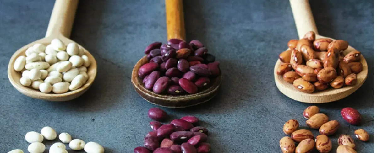Un alimento barato y nutritivo que ayuda a quemar grasa y bajar el colesterol￼