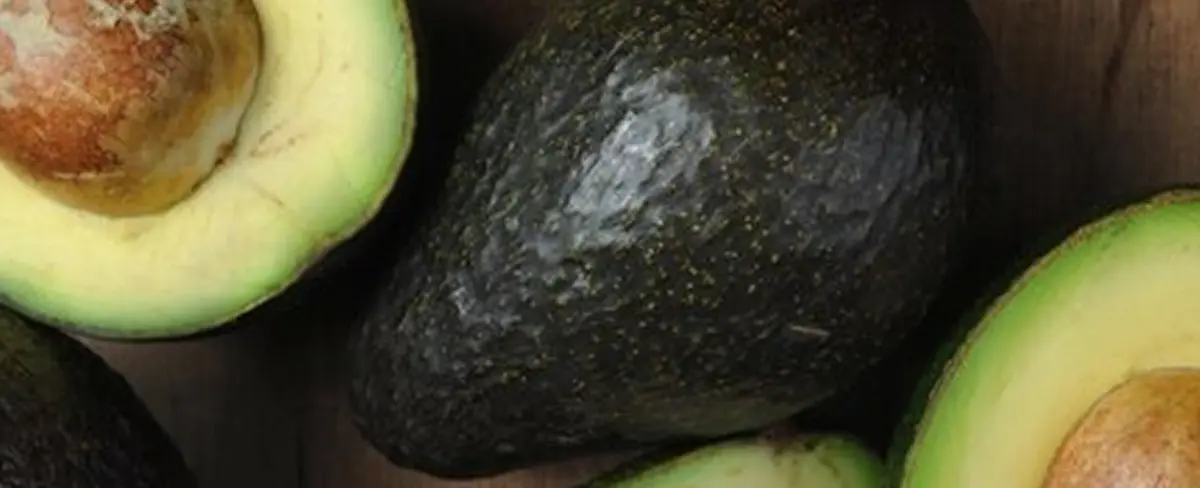Estudio revela beneficios de comer aguacate al menos dos veces a la semana