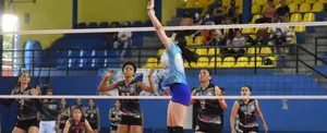 Leonas y Panteras a un paso de la final