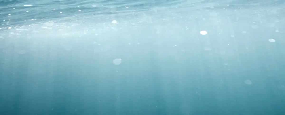 Encuentran un depredador microscópico marino que captura carbono