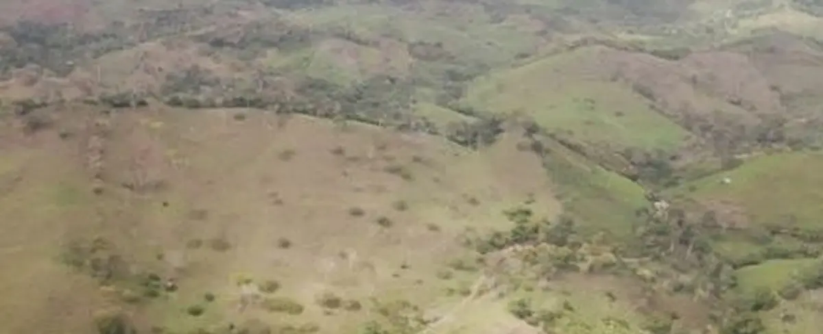 Declaran emergencia ambiental en reserva de biosfera de Honduras