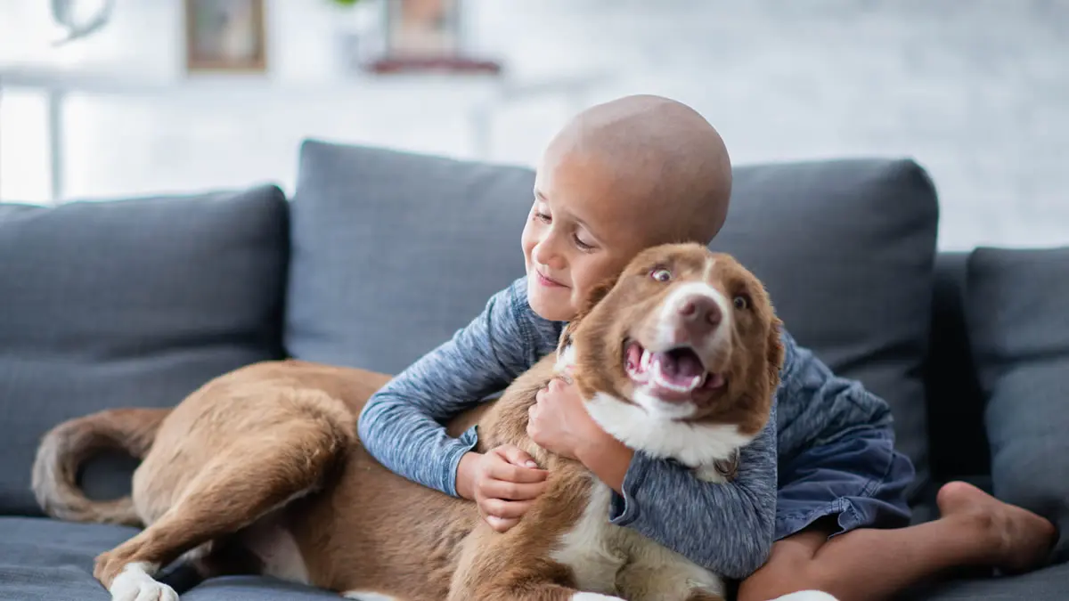 Una investigación revela que el cariño de un perro es terapéutico