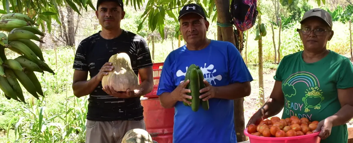 Programa de microcréditos en el campo fortalece emprendimiento “La Tomatera” en Santa Rosa del Peñón