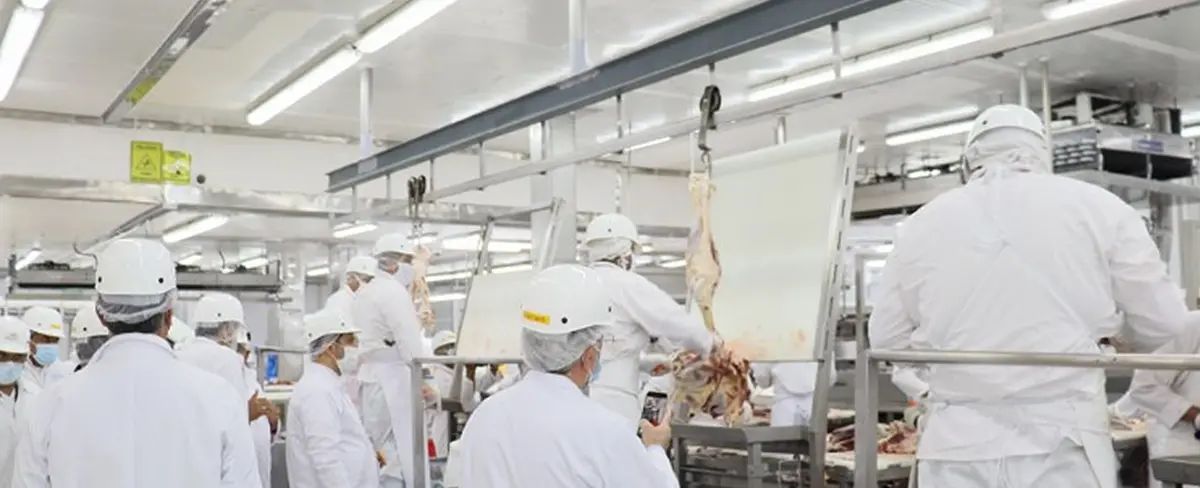 Diplomáticos de Irán visitan planta procesadora de carne nicaragüense