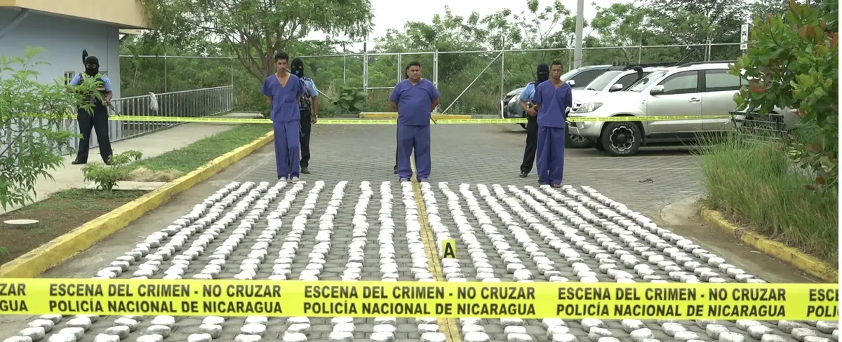 Estelí: Policía propina fuerte golpe al narcotráfico al incautar media tonelada de Marihuana