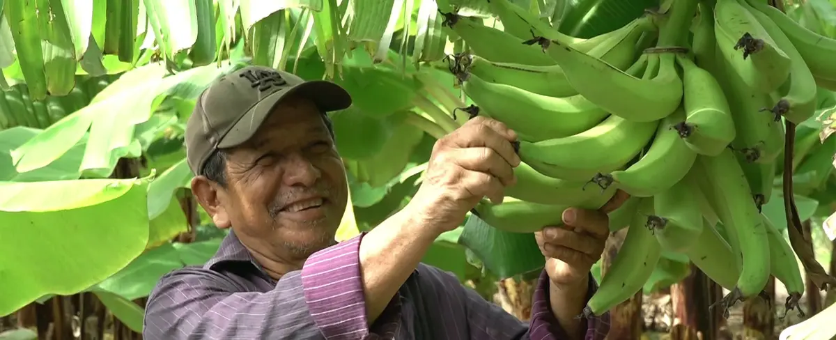 Productores del Crucero con buenas expectativas en el Ciclo Agrícola 2022