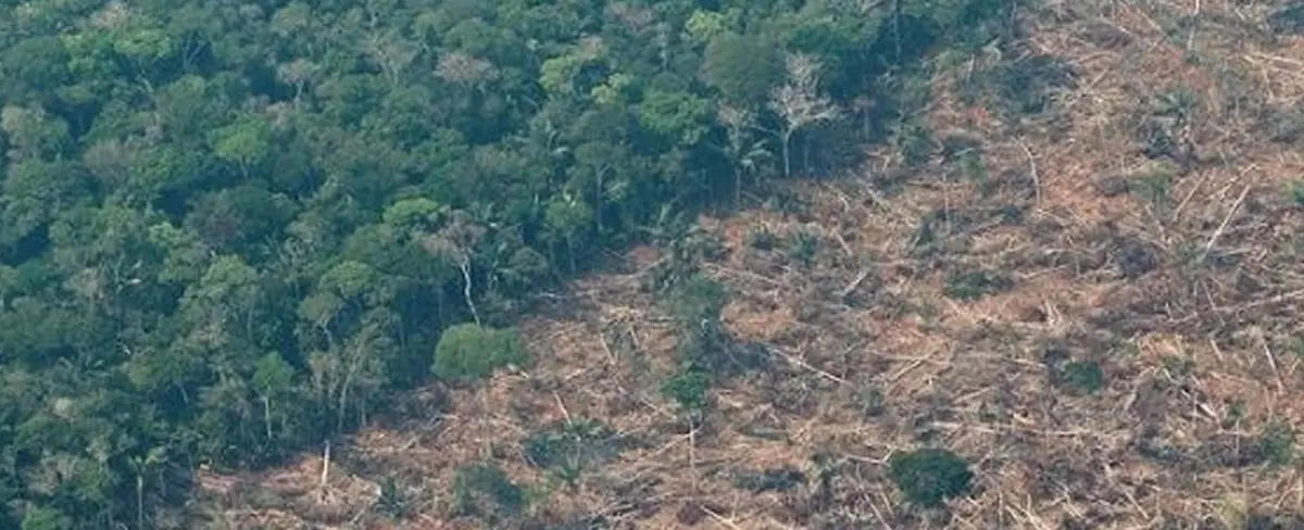 Brasil alcanza nuevo récord de deforestación en la Amazonia