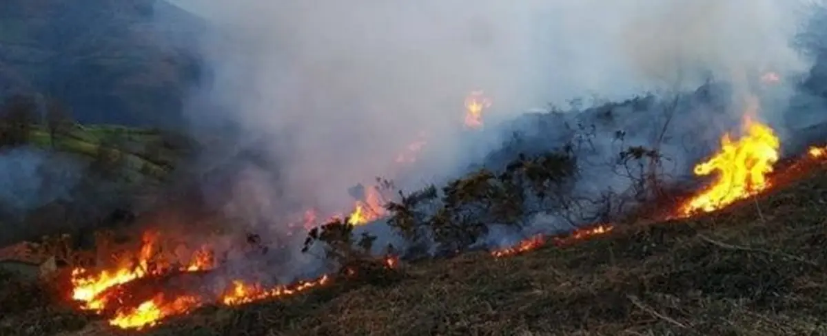España reporta casi 200 mil hectáreas de bosques afectadas por incendios