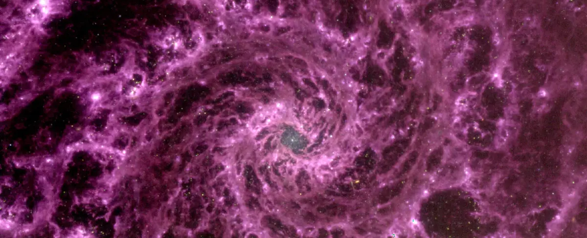 Telescopio James Webb capta sorprendente imagen de una galaxia rosa