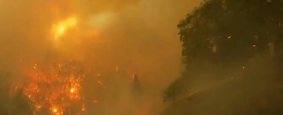 Incendio forestal calcina 160 kilómetros cuadrados de un bosque nacional en California