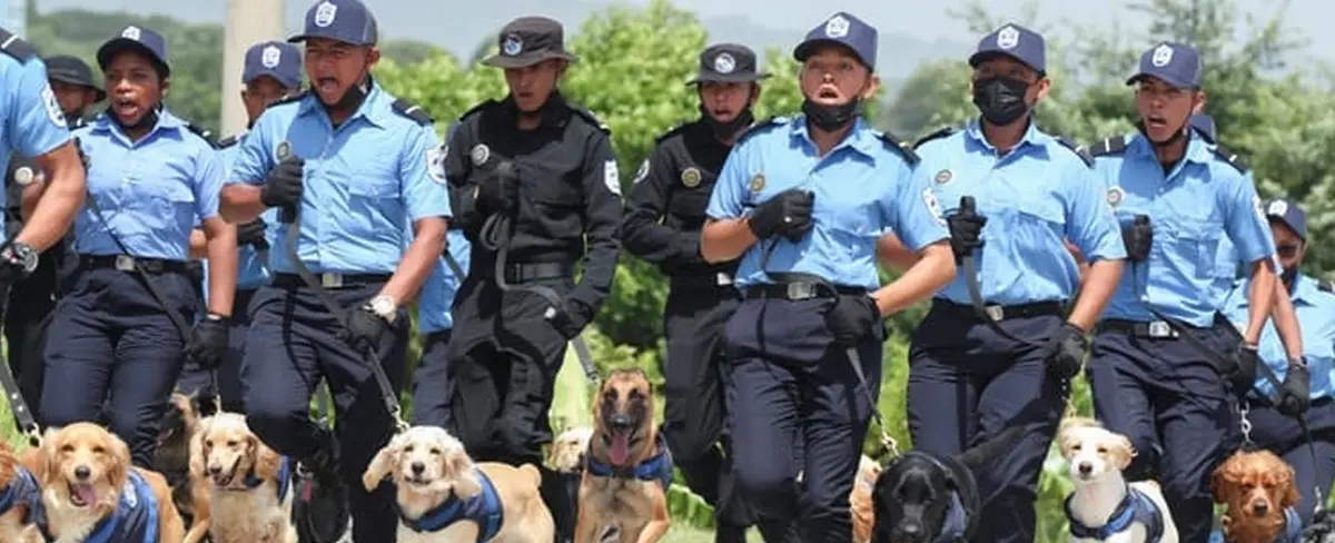 Policía Nacional gradúa nuevos agentes especializados en técnica canina