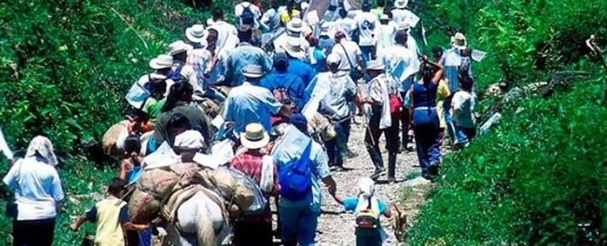 Más de 70 mil desplazados ha generado la violencia y el conflicto armado en Colombia