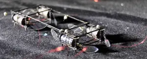 Crean drones con sistemas de luces parecidos a Luciérnagas
