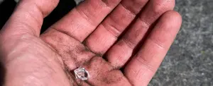 Una mujer encuentra un diamante de 4 quilates mientras recolectaba leña