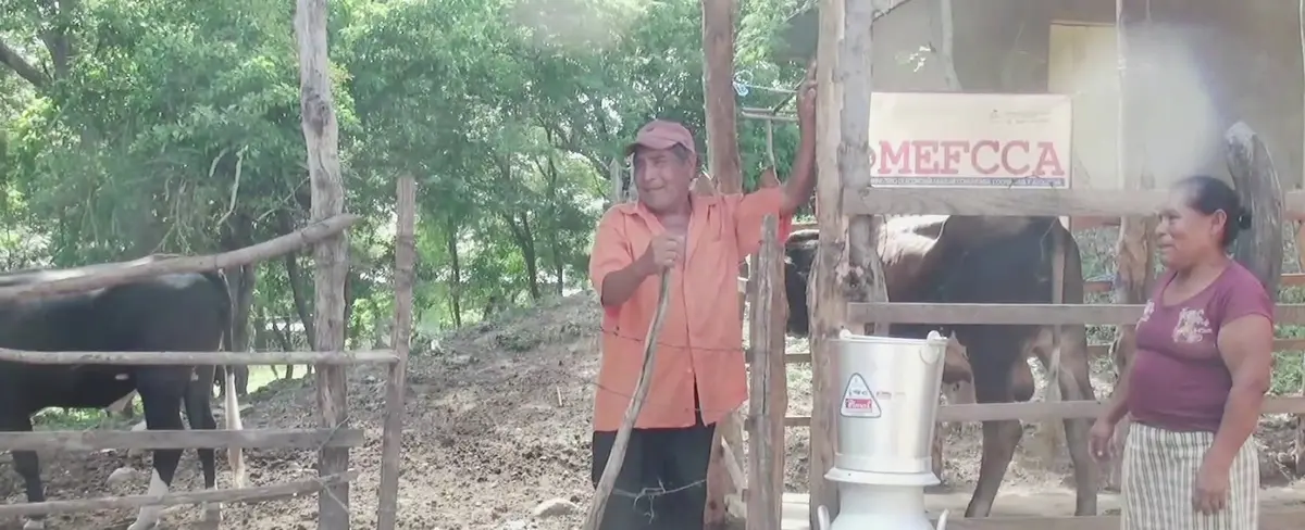 Madriz: pequeños ganaderos de San Lucas son beneficiados con bonos tecnológicos