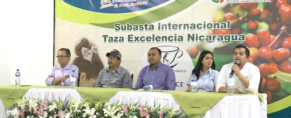 Subastan de forma electrónica el mejor café de Nicaragua