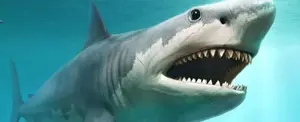 Un modelo 3D del megalodón revela que era más letal de lo que se pensaba