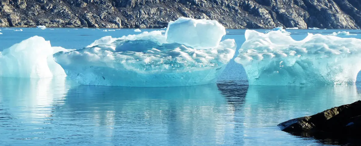 Descubren que peces que habitan en icebergs de Groenlandia usan sistema anticongelante