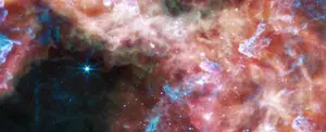 Última imagen del Telescopio James Webb capta una tarántula cósmica