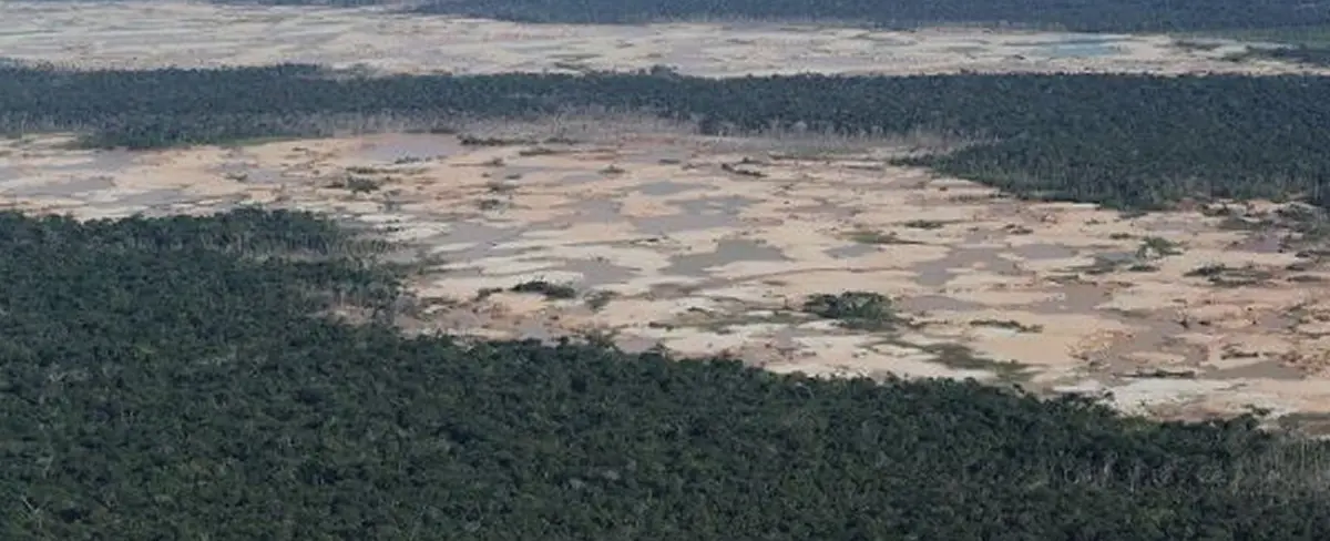 Brasil: registran más de 11 mil kilómetros deforestados en la Amazonía
